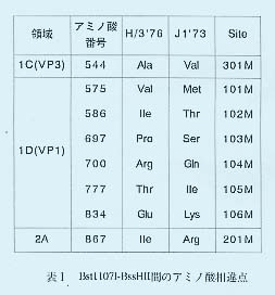 表1.Bst1107I-BssHII領域間のアミノ酸相違点