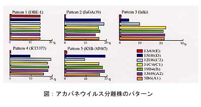 図:アカバネウイルス分離株のパターン