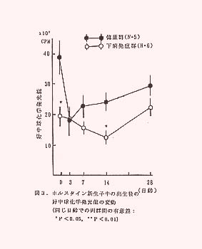 図3.ホルスタイン新生子牛の出生後の好中球化学発光能の変動