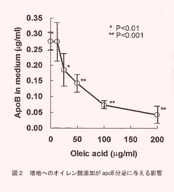 図2.培地へのオイレン酸添加がapoB分泌に与える影響