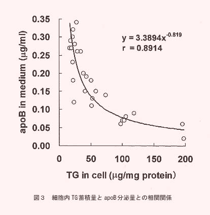 図3.細胞内TG蓄積量とapoB分泌量との相関関係
