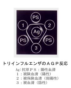 図2 トリインフルエンザのAGP反応