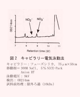 図2 キャピラリー電気泳動法