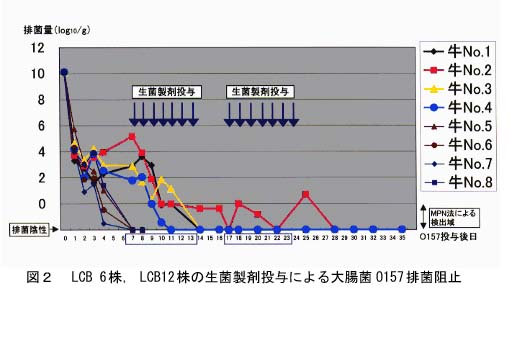 図2 LCB6株、LCB12株の生菌製剤投与による大腸菌O157排菌阻止