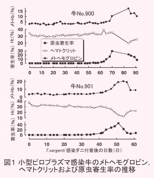 図1 小型ピロプラズマ感染牛のメトヘモグロビン、ヘマトクリットおよび原虫寄生率の推移