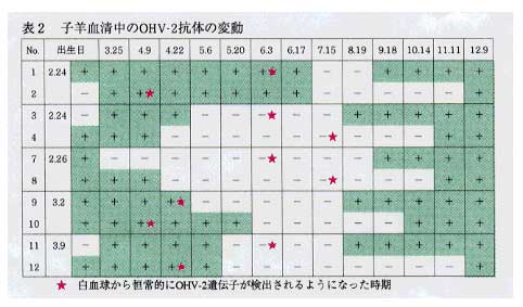 図2 子羊血清中のOHV-2抗体の変動