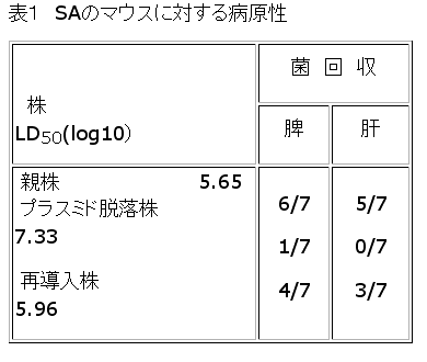 表1 SAのマウスに対する病原性