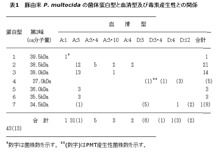 表1 豚由来P.multocidaの菌体蛋白型と血清型及び毒素産生性との関係