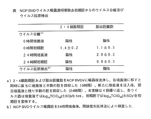 表1 NCP BVDウイルス曝露透明帯除去初期胚からのウイルス分離及びウイルス抗原検出