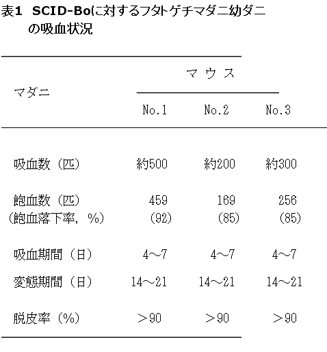 表1 SCID-Boに対するフタトゲチマダニ幼ダニの吸血状況