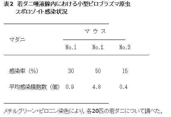 表2 若ダニ唾液腺内における小型ピロブラズマ原虫スポロゾイト感染状況