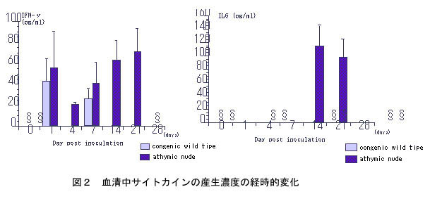 図2 血清中サイトカインの産生濃度の経時的変化