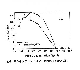 図4 ウシインターフェロン-τの抗ウイルス活性
