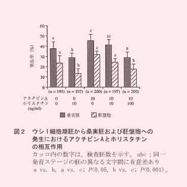 図2 ウシ1細胞期胚から桑実胚および胚盤胞への発生におけるアクチビンAとホリスタチンの相互作用