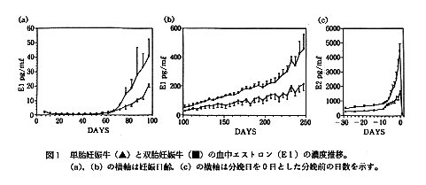 図1 単胎妊娠牛と双胎妊娠牛の血中エストロンの濃度推移