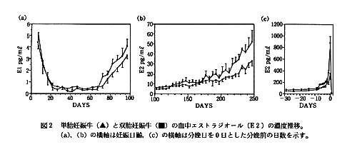 図2 単胎妊娠牛と双胎妊娠牛の血中エストラジオールの濃度推移
