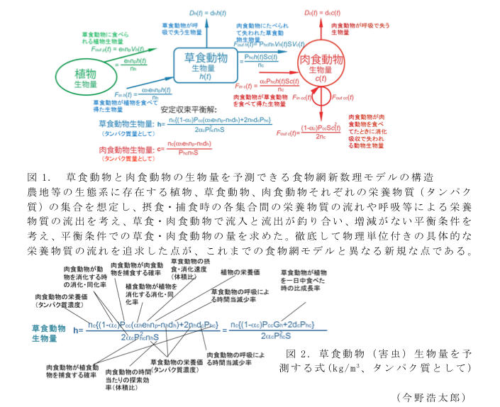 図1. 草食動物と肉食動物の生物量を予測できる食物網新数理モデルの構造?図2. 草食動物(害虫)生物量を予測する式(kg/m3、タンパク質として)