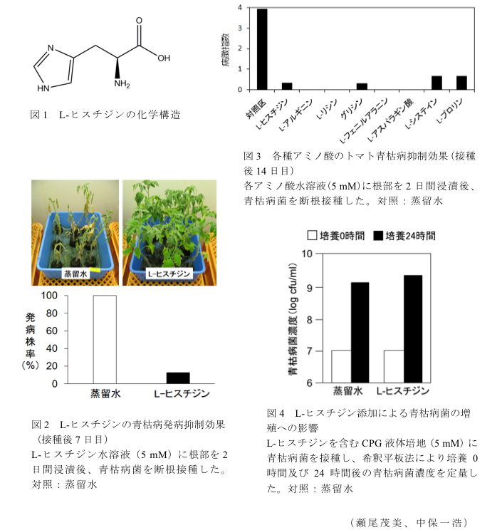 図1 L-ヒスチジンの化学構造?図2 L-ヒスチジンの青枯病発病抑制効果(接種後7日目)?図3 各種アミノ酸のトマト青枯病抑制効果(接種後14日目)?図4 L-ヒスチジン添加による青枯病菌の増殖への影響