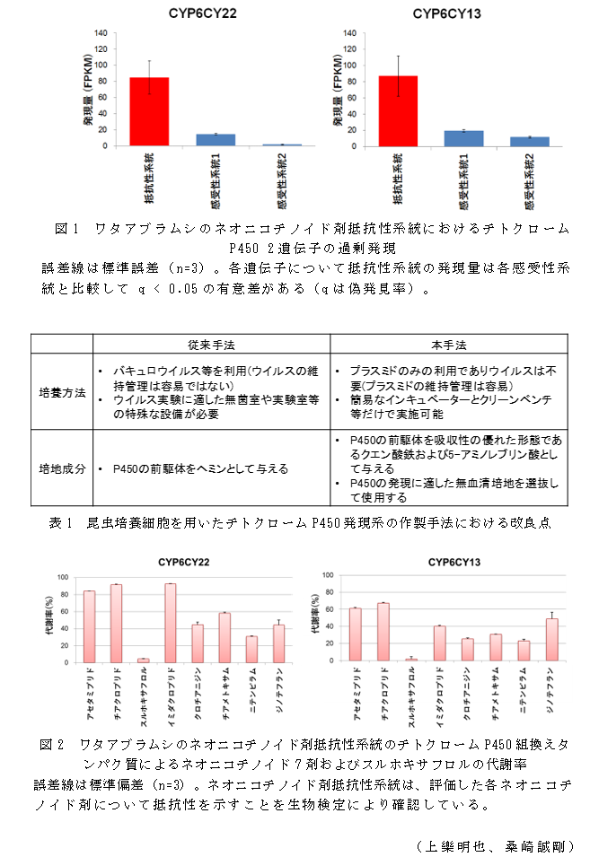 図1 ワタアブラムシのネオニコチノイド剤抵抗性系統におけるチトクロームP450 2遺伝子の過剰発現;図2 ワタアブラムシのネオニコチノイド剤抵抗性系統のチトクロームP450組換えタンパク質によるネオニコチノイド7剤およびスルホキサフロルの代謝率;表1 昆虫培養細胞を用いたチトクロームP450発現系の作製手法における改良点