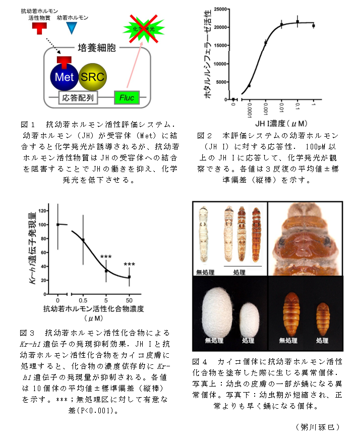 図1 抗幼若ホルモン活性評価システム;図2 本評価システムの幼若ホルモン(JH I)に対する応答性;図3 抗幼若ホルモン活性化合物によるKr-h1遺伝子の発現抑制効果;図4 カイコ個体に抗幼若ホルモン活性化合物を塗布した際に生じる異常個体