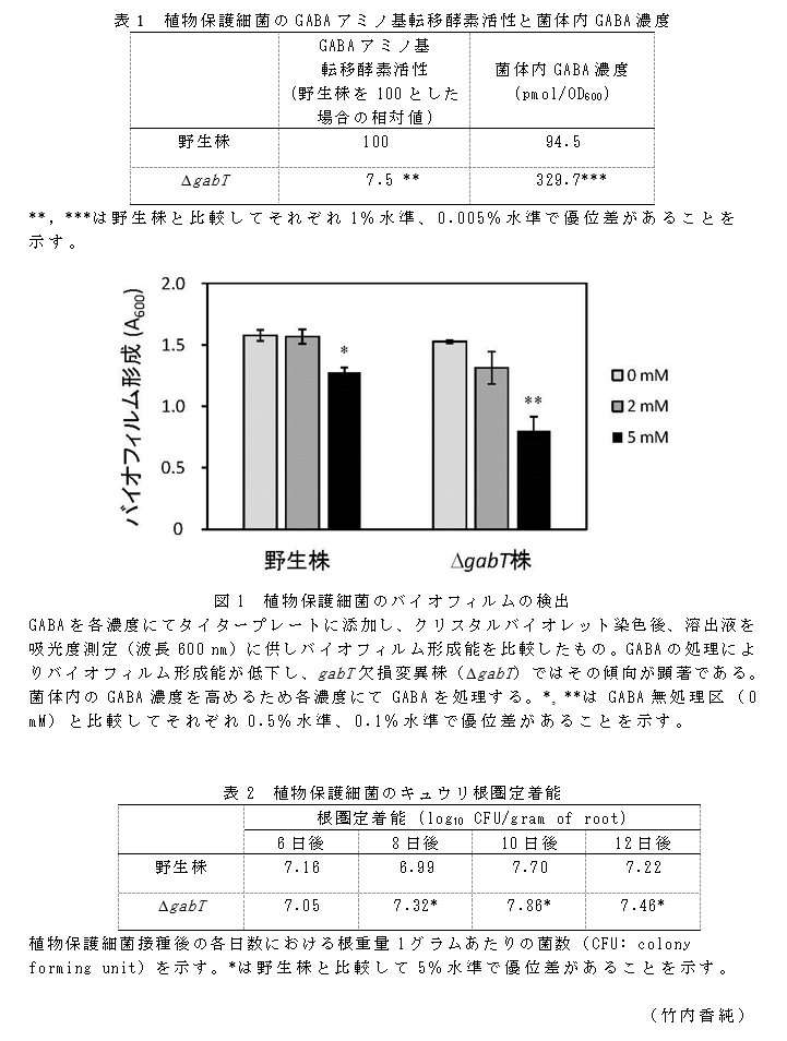 表1 植物保護細菌のGABAアミノ基転移酵素活性と菌体内GABA濃度;図1 植物保護細菌のバイオフィルムの検出;表2 植物保護細菌のキュウリ根圏定着能