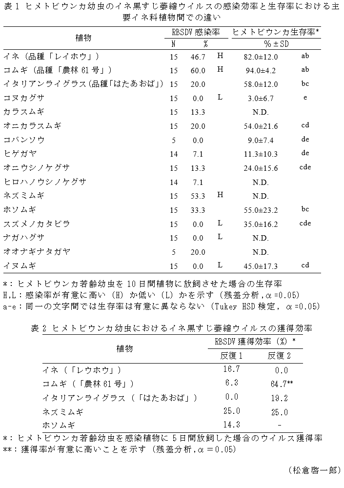 表1 ヒメトビウンカ幼虫のイネ黒すじ萎縮ウイルスの感染効率と生存率における主要イネ科植物間での違い,表2 ヒメトビウンカ幼虫におけるイネ黒すじ萎縮ウイルスの獲得効率