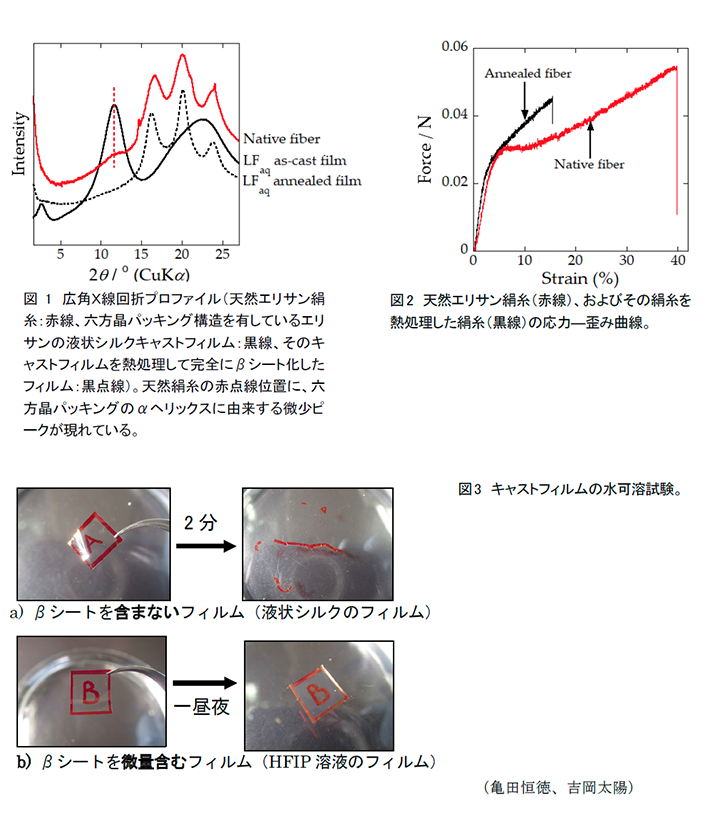 図1 広角X線回折プロファイル,図2 天然エリサン絹糸(赤線),図3 キャストフィルムの水可溶試験