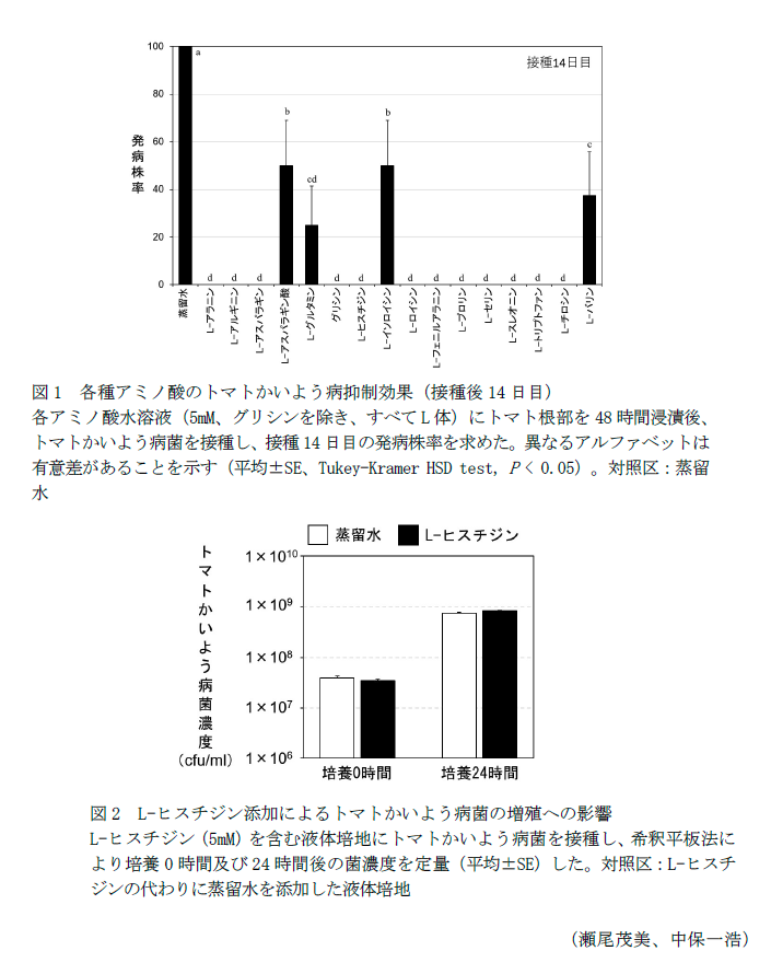 図1 各種アミノ酸のトマトかいよう病抑制効果,図2 L-ヒスチジン添加によるトマトかいよう病菌の増殖への影響