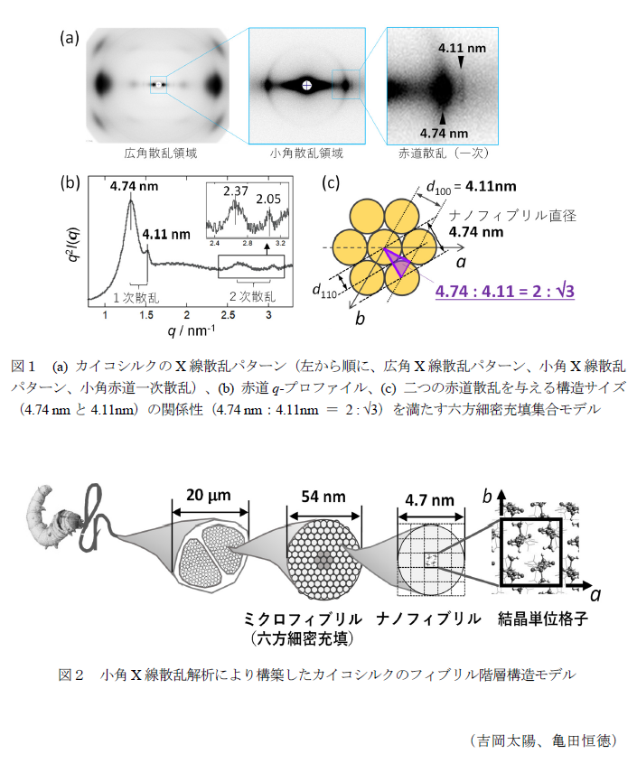 図1 (a) カイコシルクのX線散乱パターン(左から順に、広角X線散乱パターン、小角X線散乱パターン、小角赤道一次散乱)、(b) 赤道q-プロファイル、(c) 二つの赤道散乱を与える構造サイズ(4.74 nmと4.11nm)の関係性(4.74 nm:4.11nm = 2 : 3)を満たす六方細密充填集合モデル,図2 小角X線散乱解析により構築したカイコシルクのフィブリル階層構造モデル