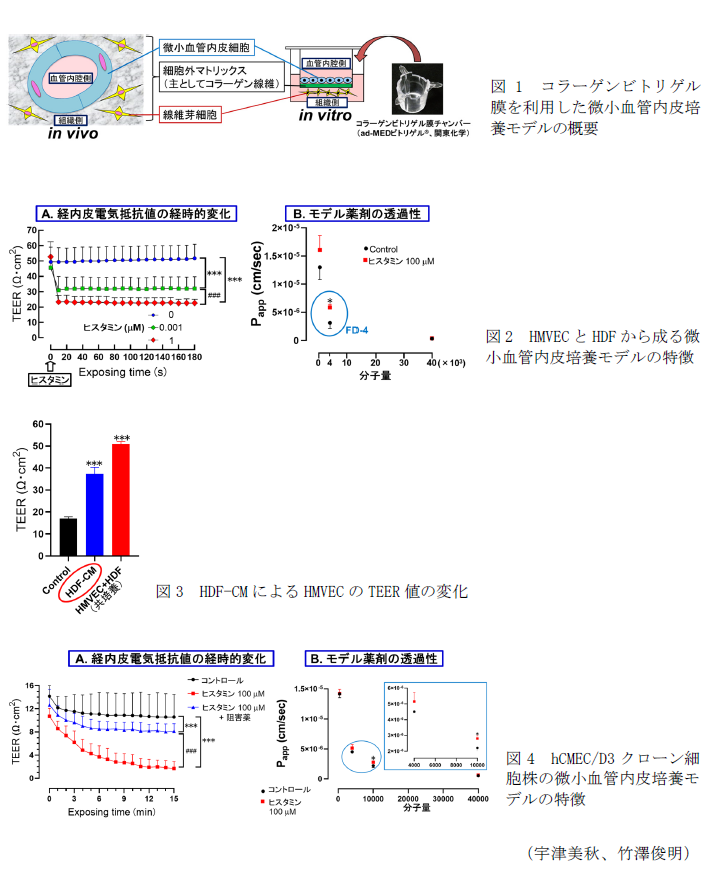 図1 コラーゲンビトリゲル膜を利用した微小血管内皮培養モデルの概要,図2 HMVECとHDFから成る微小血管内皮培養モデルの特徴,図3 HDF-CMによるHMVECのTEER値の変化,図4 hCMEC/D3クローン細胞株の微小血管内皮培養モデルの特徴