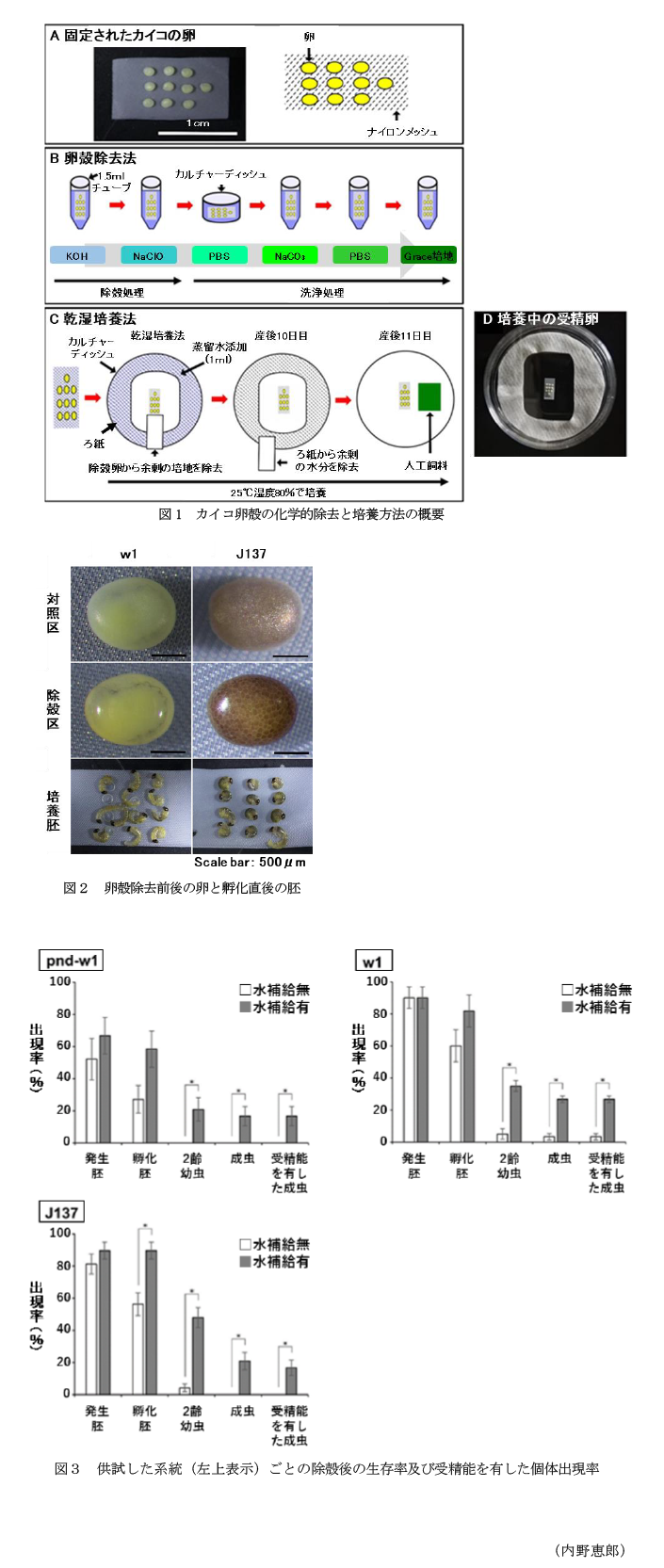 図1 カイコ卵殻の化学的除去と培養方法の概要,図2 卵殻除去前後の卵と孵化直後の胚,図3 供試した系統(左上表示)ごとの除殻後の生存率及び受精能を有した個体出現率