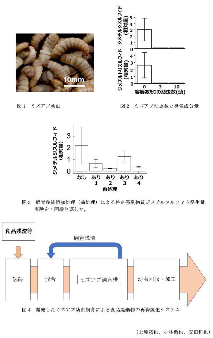 図1 ミズアブ幼虫,図2 ミズアブ幼虫数と臭気成分量,図3 飼育残渣添加処理(前処理)による特定悪臭物質ジメチルスルフィド発生量,図4 開発したミズアブ幼虫飼育による食品廃棄物の再資源化システム