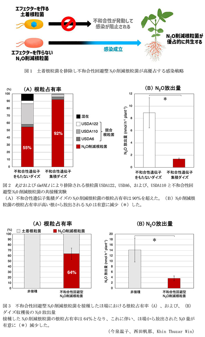 図1 土着根粒菌を排除し不和合性回避型N2O削減根粒菌が高優占する感染戦略,図2 Rj2およびGmNNL1により排除される根粒菌USDA122、USDA6、および、USDA110と不和合性回避型N2O削減根粒菌の共接種実験,図3 不和合性回避型N2O削減根粒菌を接種したほ場における根粒占有率(A)、および、(B)ダイズ収穫後のN2O放出量