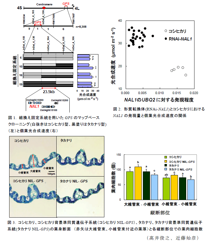 図1～3