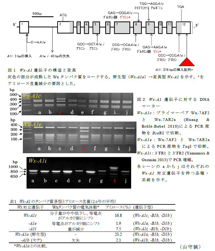 図1～2,表1