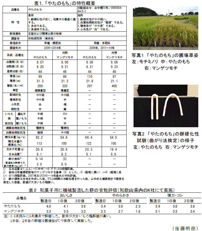 写真1～2,表1～2