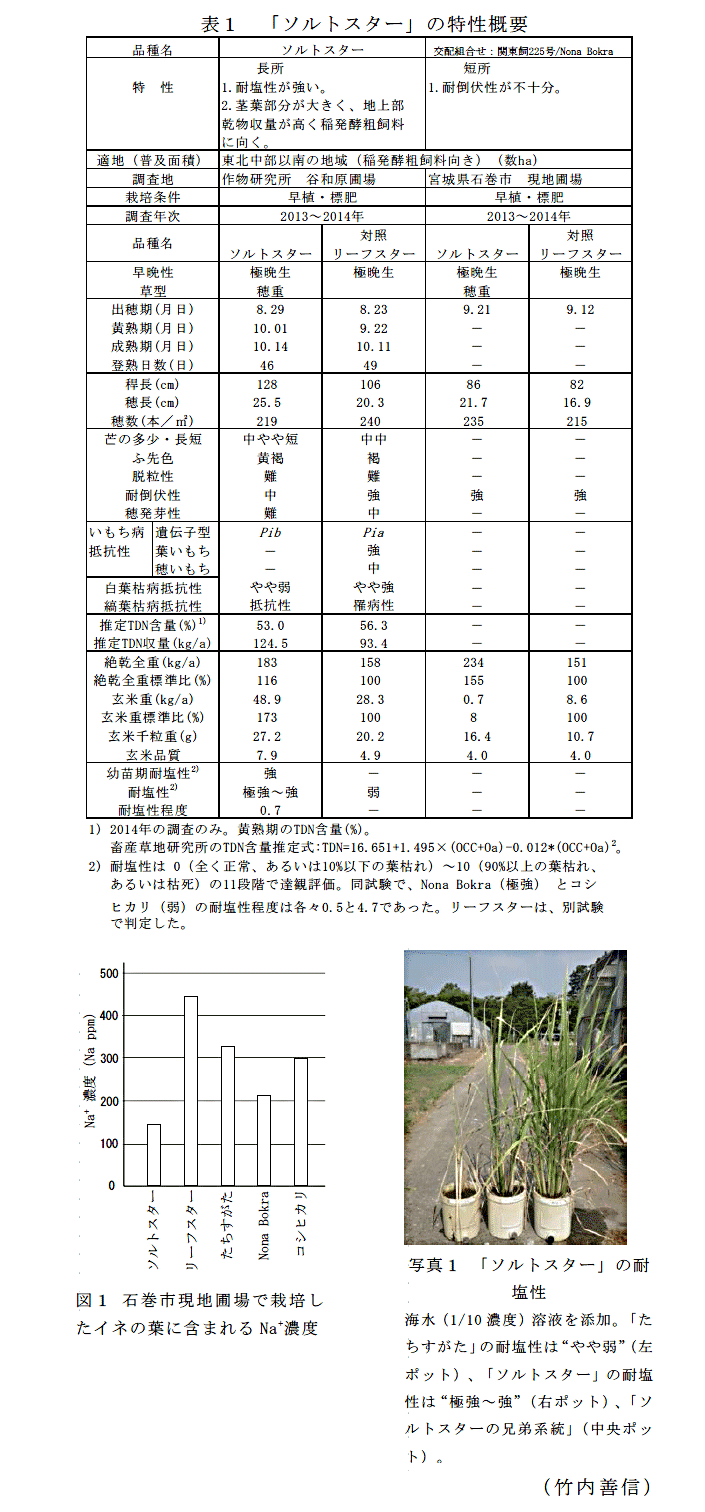 図1,表1,写真1