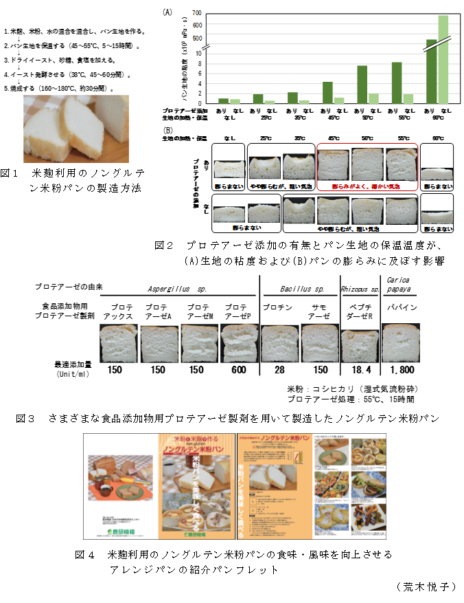 図1 米麹利用のノングルテン米粉パンの製造方法;図2 プロテアーゼ添加の有無とパン生地の保温温度が、(A)生地の粘度および(B)パンの膨らみに及ぼす影響;図3 さまざまな食品添加物用プロテアーゼ製剤を用いて製造したノングルテン米粉パン;図4 米麹利用のノングルテン米粉パンの食味・風味を向上させるアレンジパンの紹介パンフレット