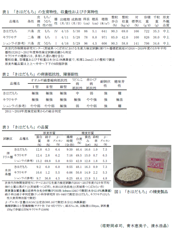 表1 「きはだもち」の生育特性、収量性および子実特性,表2 「きはだもち」の病害抵抗性、障害耐性,表3 「きはだもち」の品質