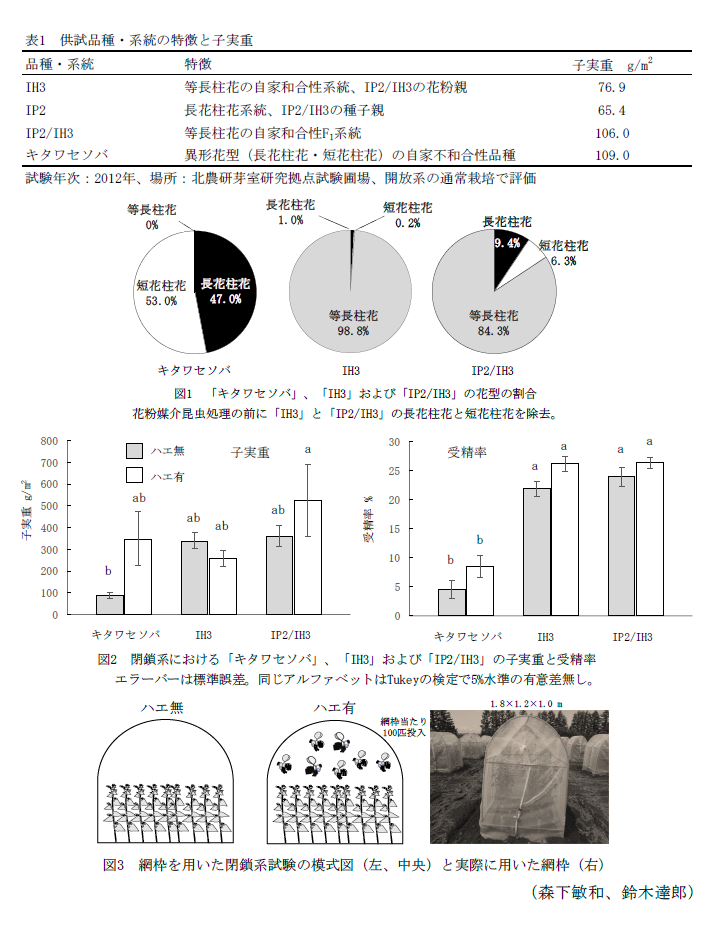 表1 供試品種・系統の特徴と子実重 品種・系統,図1 「キタワセソバ」、「IH3」および「IP2/IH3」の花型の割合,図2 閉鎖系における「キタワセソバ」、「IH3」および「IP2/IH3」の子実重と受精率 エラーバーは標準誤差,図3 網枠を用いた閉鎖系試験の模式図