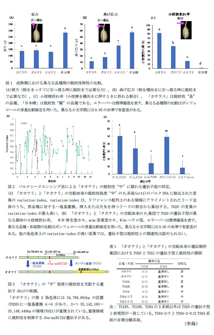 図1 成熟期における異なる品種間の脱粒性特性の比較,図2 バルクシークエンシング法による「オオナリ」の脱粒性