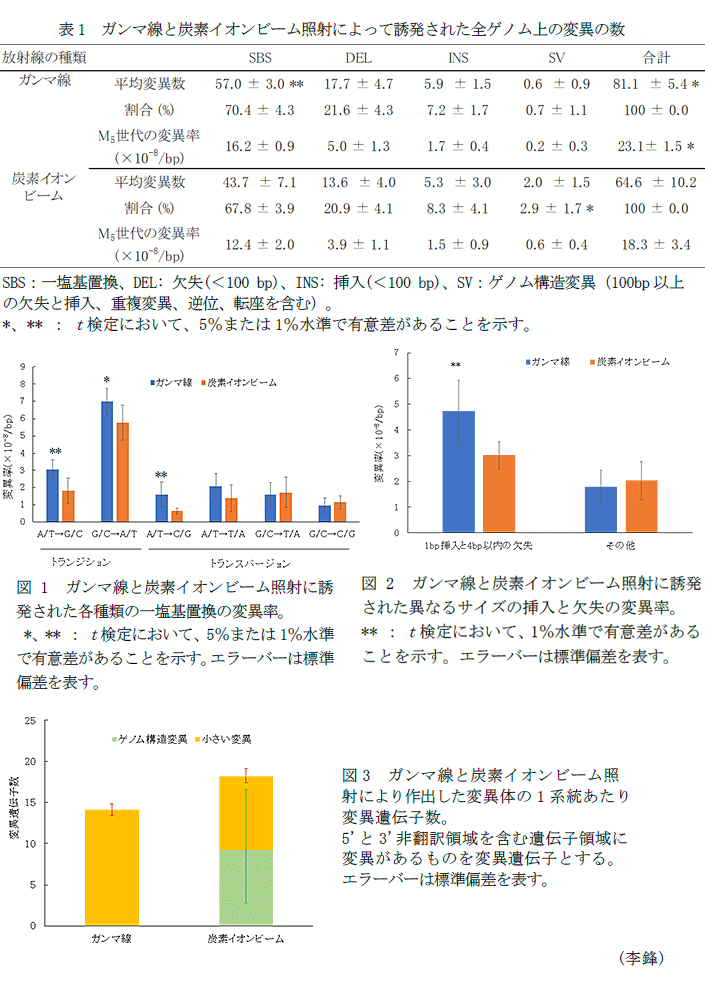 表1 ガンマ線と炭素イオンビーム照射によって誘発された全ゲノム上の変異の数,図1 ガンマ線と炭素イオンビーム照射に誘発された各種類の一塩基置換の変異率,図2 ガンマ線と炭素イオンビーム照射に誘発された異なるサイズの挿入と欠失の変異率,図3 ガンマ線と炭素イオンビーム照射により作出した変異体の1系統あたり変異遺伝子数