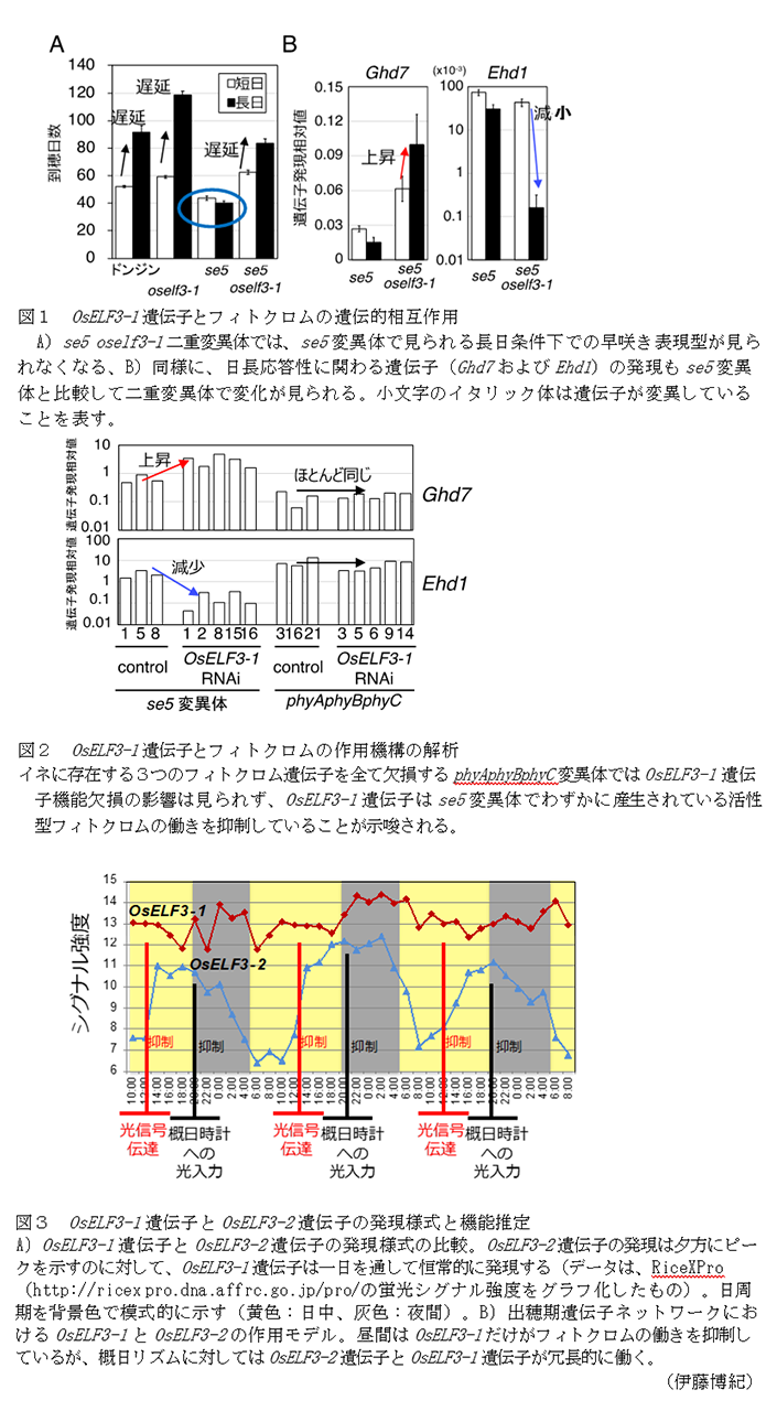 遺伝子発現の調節