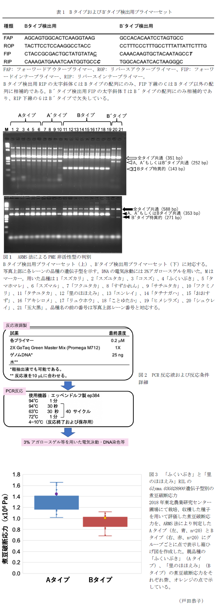 表1 BタイプおよびB ́タイプ検出用プライマーセット,図1 ARMS法によるPME非活性型の判別,図2 PCR反応液および反応条件詳細,図3 「ふくいぶき」と「里のほほえみ」RILのGlyma.03G028900遺伝子型別の煮豆破断応力