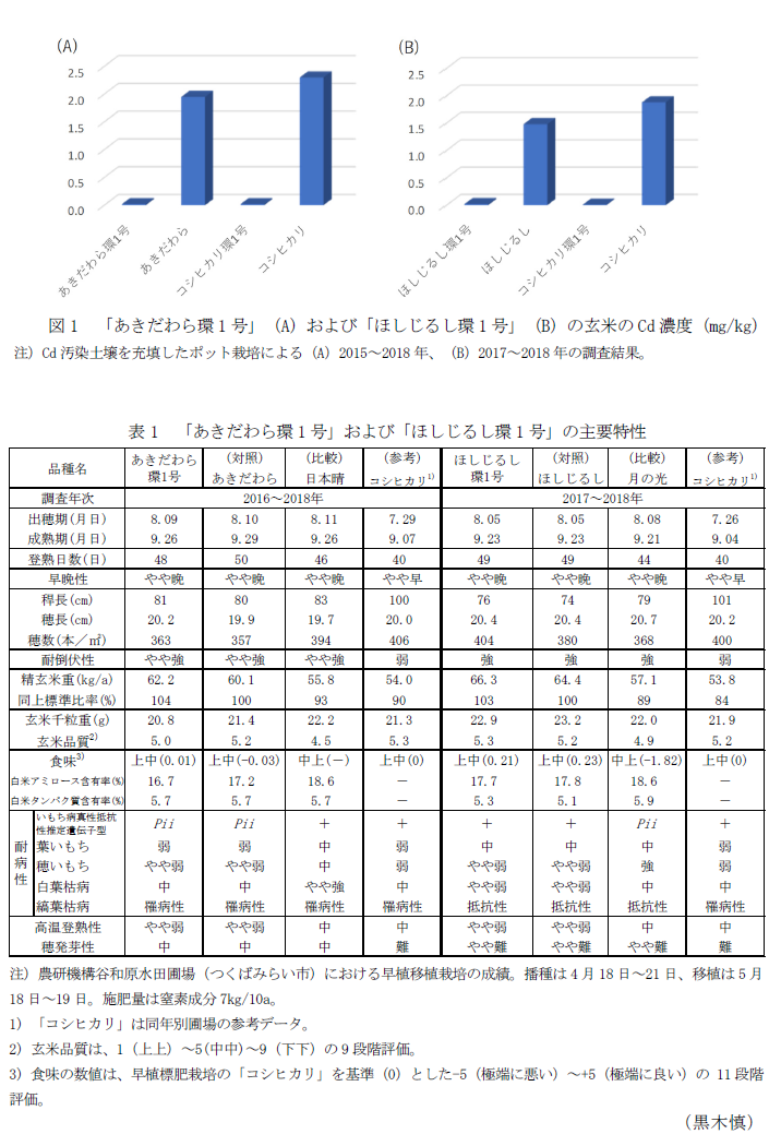 図1 「あきだわら環1号」(A)および「ほしじるし環1号」(B)の玄米のCd濃度(mg/kg),表1 「あきだわら環1号」および「ほしじるし環1号」の主要特性