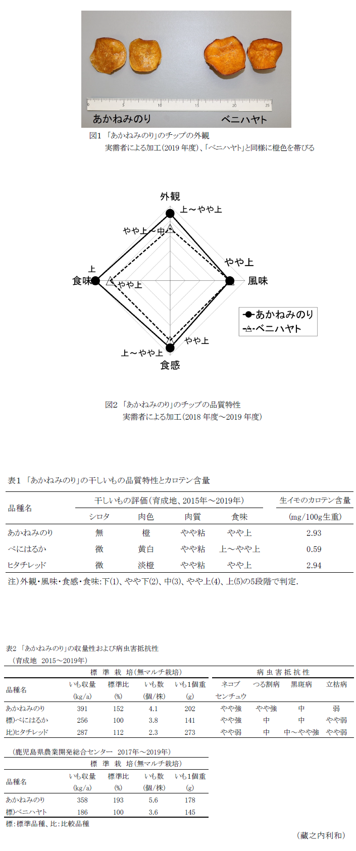 図1 「あかねみのり」のチップの外観,図2 「あかねみのり」のチップの品質特性 実需者による加工(2018年度~2019年度),表1 「あかねみのり」の干しいもの品質特性とカロテン含量,表2 「あかねみのり」の収量性および病虫害抵抗性