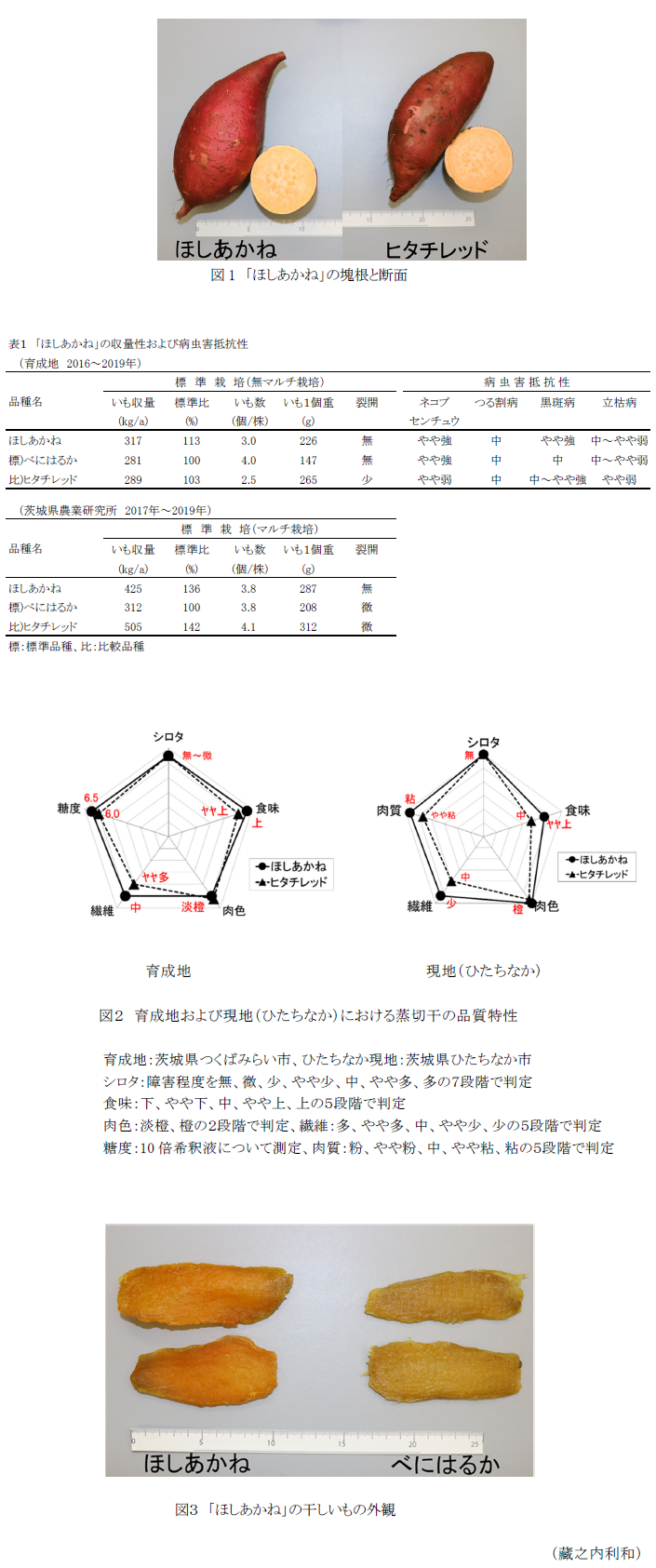 図1 「ほしあかね」の塊根と断面,表1 「ほしあかね」の収量性および病虫害抵抗性,図2 育成地および現地(ひたちなか)における蒸切干の品質特性,図3 「ほしあかね」の干しいもの外観