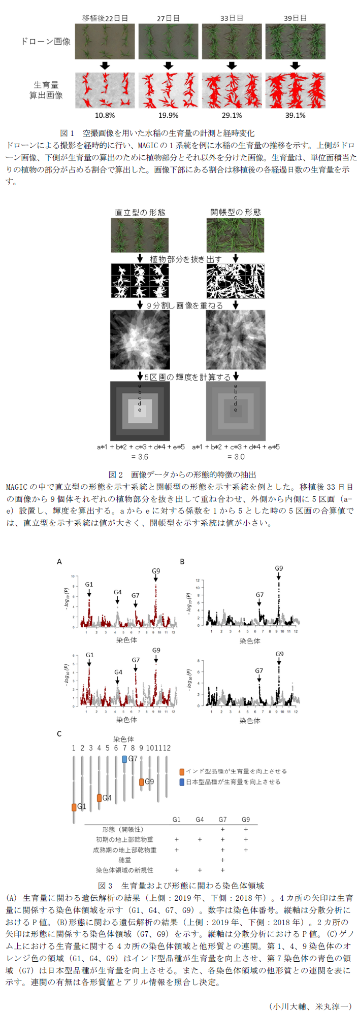 図1 空撮画像を用いた水稲の生育量の計測と経時変化,図2 画像データからの形態的特徴の抽出,図3 生育量および形態に関わる染色体領域