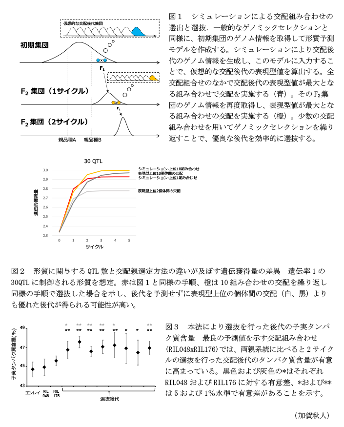 図1 シミュレーションによる交配組み合わせの選出と選抜,図2 形質に関与するQTL数と交配親選定方法の違いが及ぼす遺伝獲得量の差異,図3 本法により選抜を行った後代の子実タンパク質含量