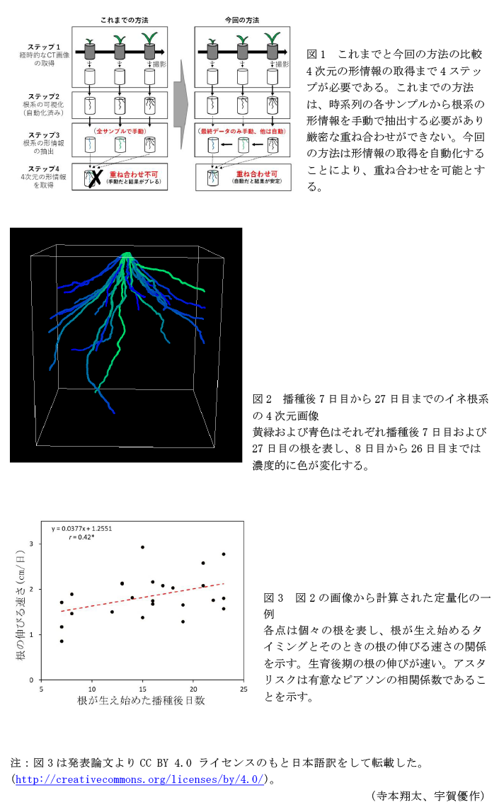 図1 これまでと今回の方法の比較,図2 播種後7日目から27日目までのイネ根系の4次元画像,図3 図2の画像から計算された定量化の一例